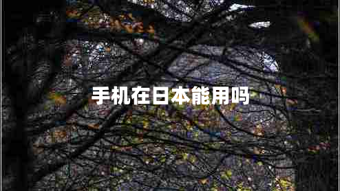 手機(jī)在日本能用嗎