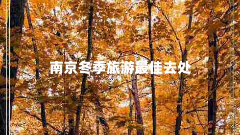 南京冬季旅游最佳去處