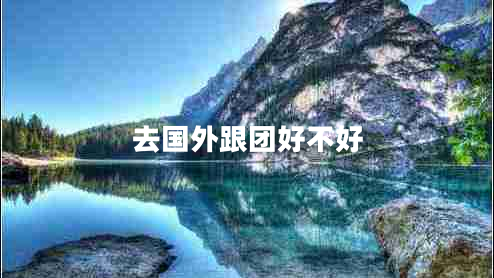 去國外跟團好不好 去國外跟團好不好