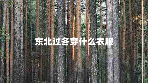 東北過冬穿什么衣服