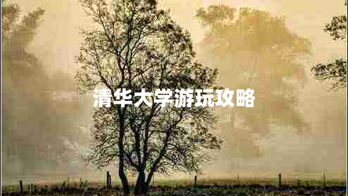 清華大學(xué)游玩攻略