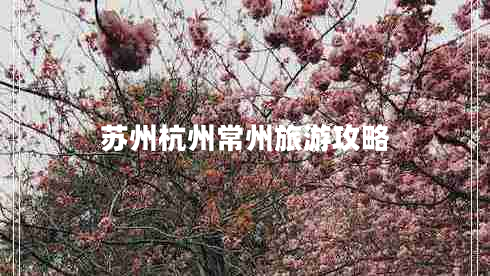 蘇州杭州常州旅游攻略