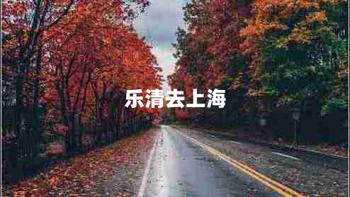 樂(lè)清去上海