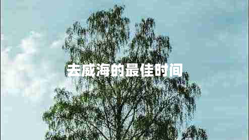 去威海的最佳時間