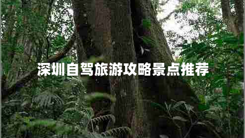 深圳自駕旅游攻略景點(diǎn)推薦 深圳自駕旅游攻略景點(diǎn)推薦