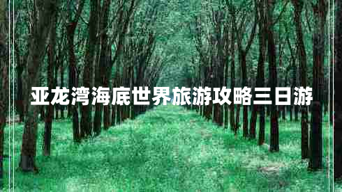亞龍灣海底世界旅游攻略三日游