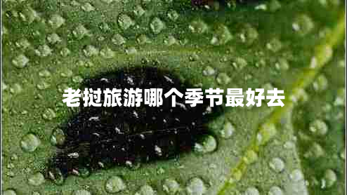 老撾旅游哪個季節(jié)最好去 老撾旅游哪個季節(jié)最好去