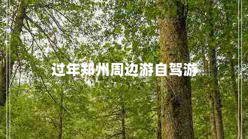 過(guò)年鄭州周邊游自駕游