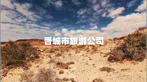 晉城市旅游公司