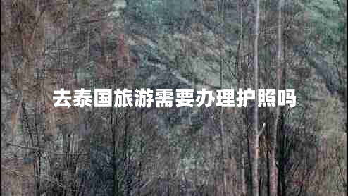 去泰國旅游需要辦理護(hù)照嗎