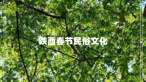 陜西春節(jié)民俗文化