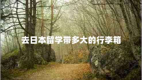 去日本留學(xué)帶多大的行李箱 去日本留學(xué)帶多大的行李箱