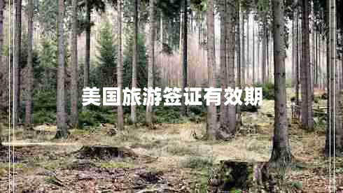 美國(guó)旅游簽證有效期