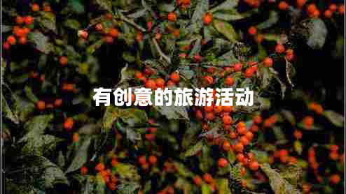 有創(chuàng)意的旅游活動