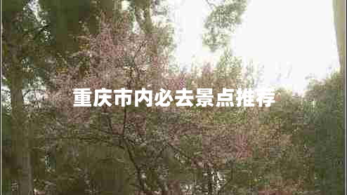重慶市內(nèi)必去景點(diǎn)推薦