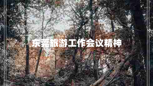 東莞旅游工作會議精神