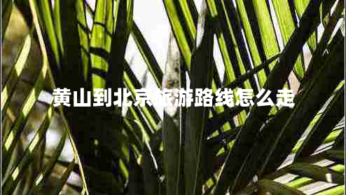 黃山到北京旅游路線怎么走 黃山到北京旅游路線怎么走
