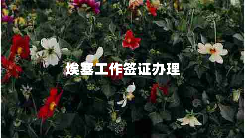 埃塞工作簽證辦理 埃塞工作簽證辦理