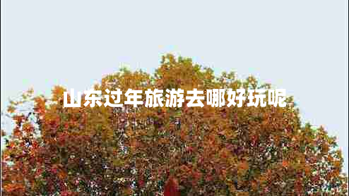 山東過年旅游去哪好玩呢