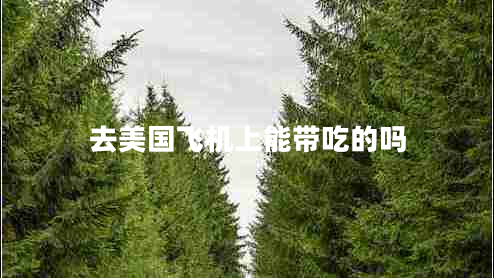 去美國(guó)飛機(jī)上能帶吃的嗎