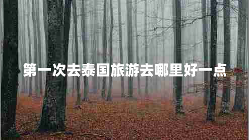 第一次去泰國(guó)旅游去哪里好一點(diǎn) 第一次去泰國(guó)旅游去哪里好一點(diǎn)