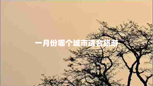 一月份哪個城市適合旅游