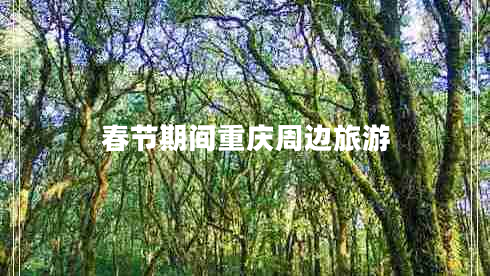 春節(jié)期間重慶周邊旅游