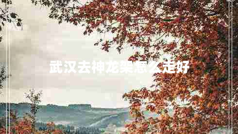 武漢去神龍架怎么走好