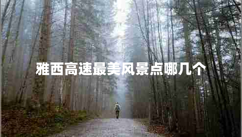 雅西高速最美風景點哪幾個