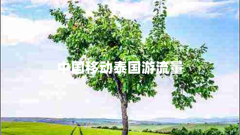 中國移動泰國游流量