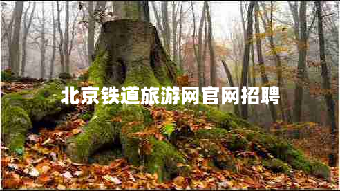 北京鐵道旅游網(wǎng)官網(wǎng)招聘