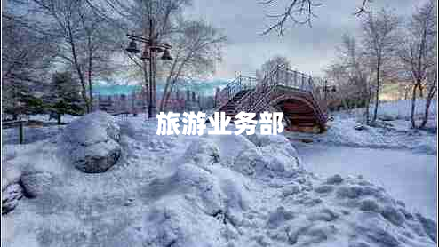 旅游業(yè)務部 旅游業(yè)務部