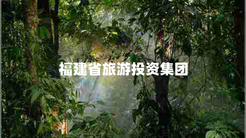 福建省旅游投資集團(tuán)