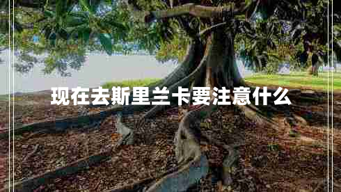 現(xiàn)在去斯里蘭卡要注意什么 現(xiàn)在去斯里蘭卡要注意什么