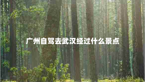 廣州自駕去武漢經(jīng)過(guò)什么景點(diǎn)