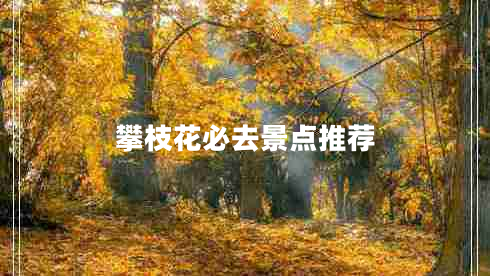 攀枝花必去景點(diǎn)推薦