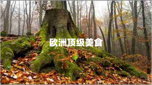 歐洲頂級美食
