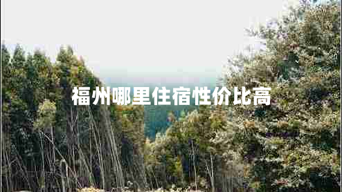 福州哪里住宿性價(jià)比高