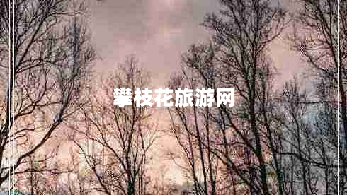 攀枝花旅游網(wǎng)