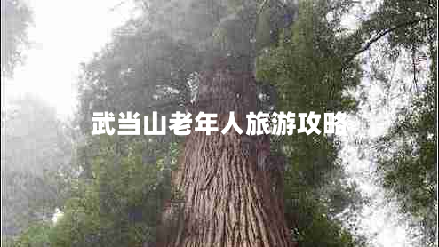 武當(dāng)山老年人旅游攻略 武當(dāng)山老年人旅游攻略
