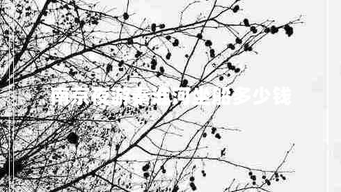 南京夜游秦淮河坐船多少錢