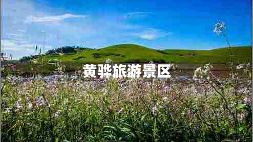 黃驊旅游景區(qū)