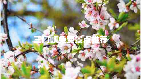 三門(mén)峽免費(fèi)景點(diǎn)推薦