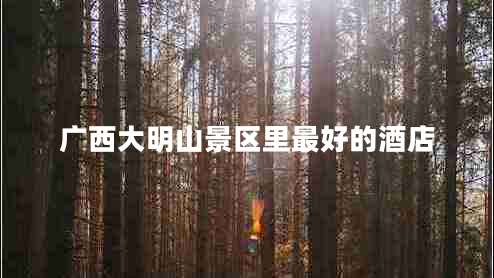 廣西大明山景區(qū)里最好的酒店 廣西大明山景區(qū)里最好的酒店