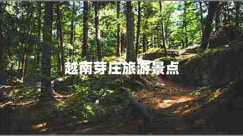 越南芽莊旅游景點 越南芽莊旅游景點