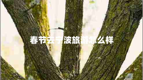 春節(jié)去寧波旅游怎么樣 春節(jié)去寧波旅游怎么樣