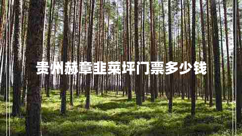 貴州赫章韭菜坪門票多少錢 貴州赫章韭菜坪門票多少錢