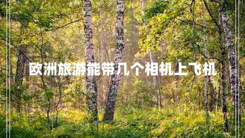 歐洲旅游能帶幾個(gè)相機(jī)上飛機(jī)