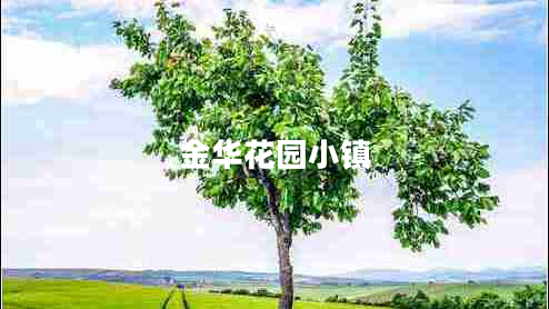 金華花園小鎮(zhèn)