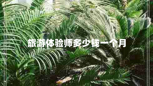 旅游體驗(yàn)師多少錢(qián)一個(gè)月 旅游體驗(yàn)師多少錢(qián)一個(gè)月